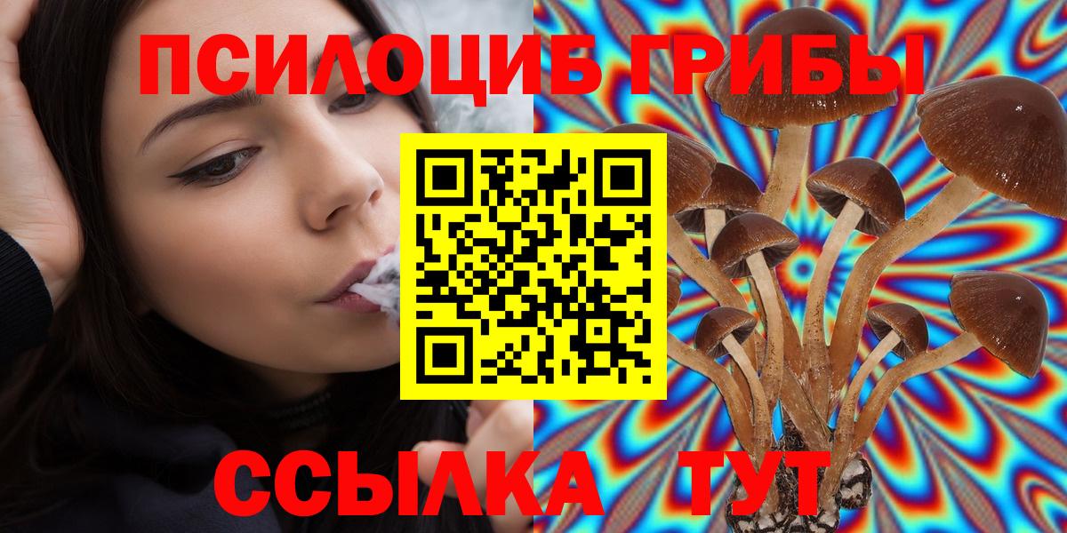 Псилоцибиновые грибы Cubensis Коряжма